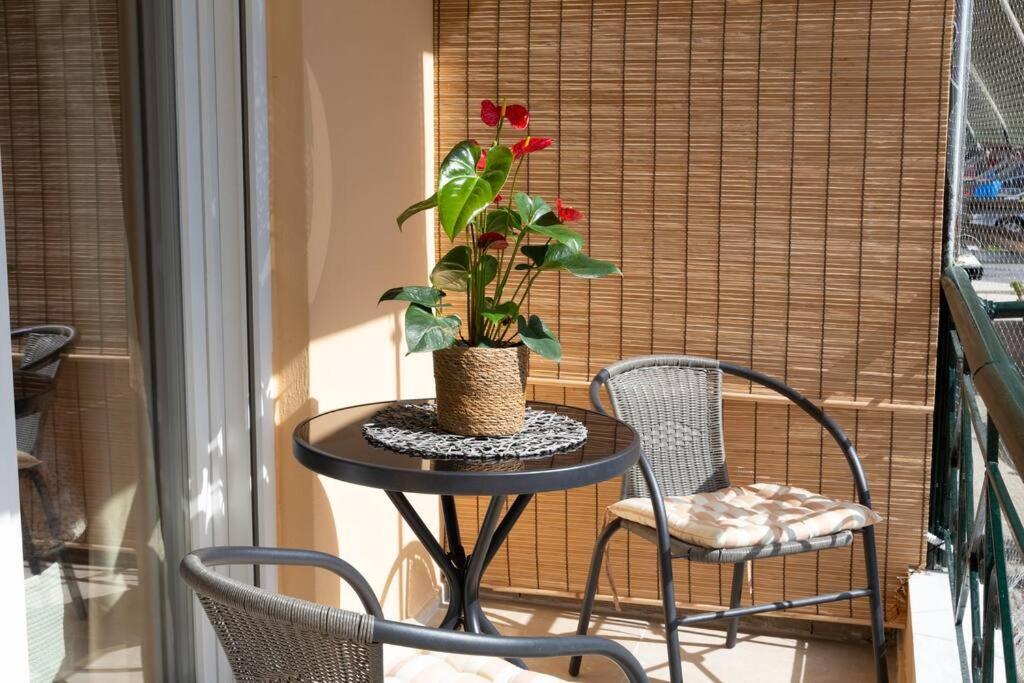 Afrodite'S Cosy And Lovely Apartment Alepou Luaran gambar